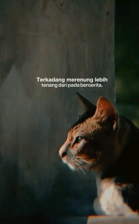 @ₜₑₕᶜᵃˢᵖᵉʳ