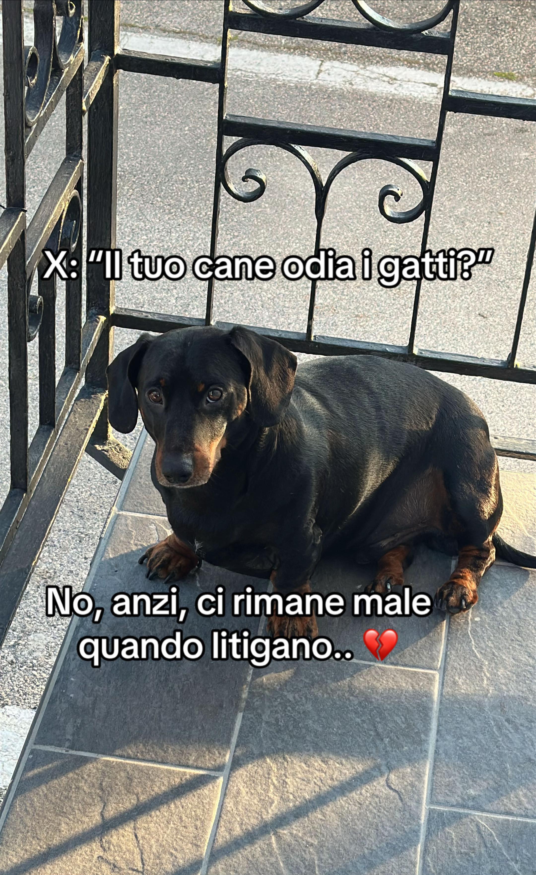 @BLOODISSIA