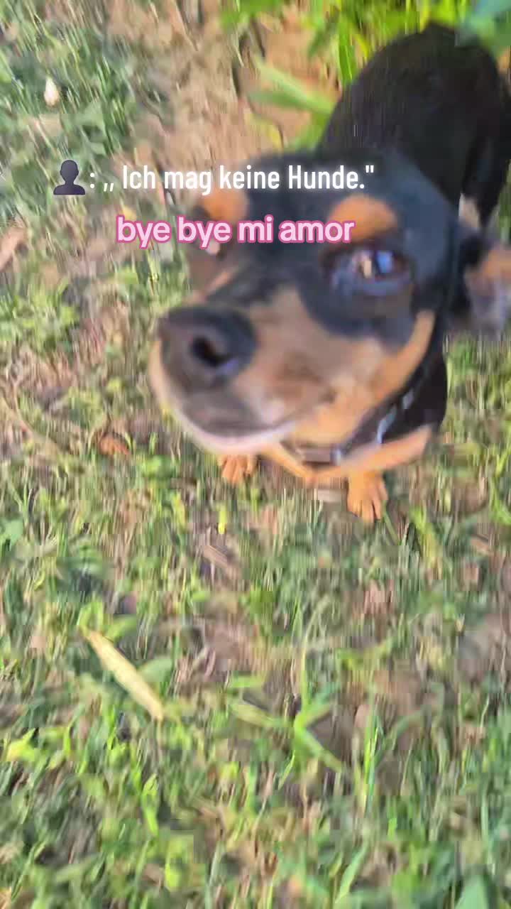@𝒗𝒆𝒓𝒐𝒏𝒊𝒌𝒊_