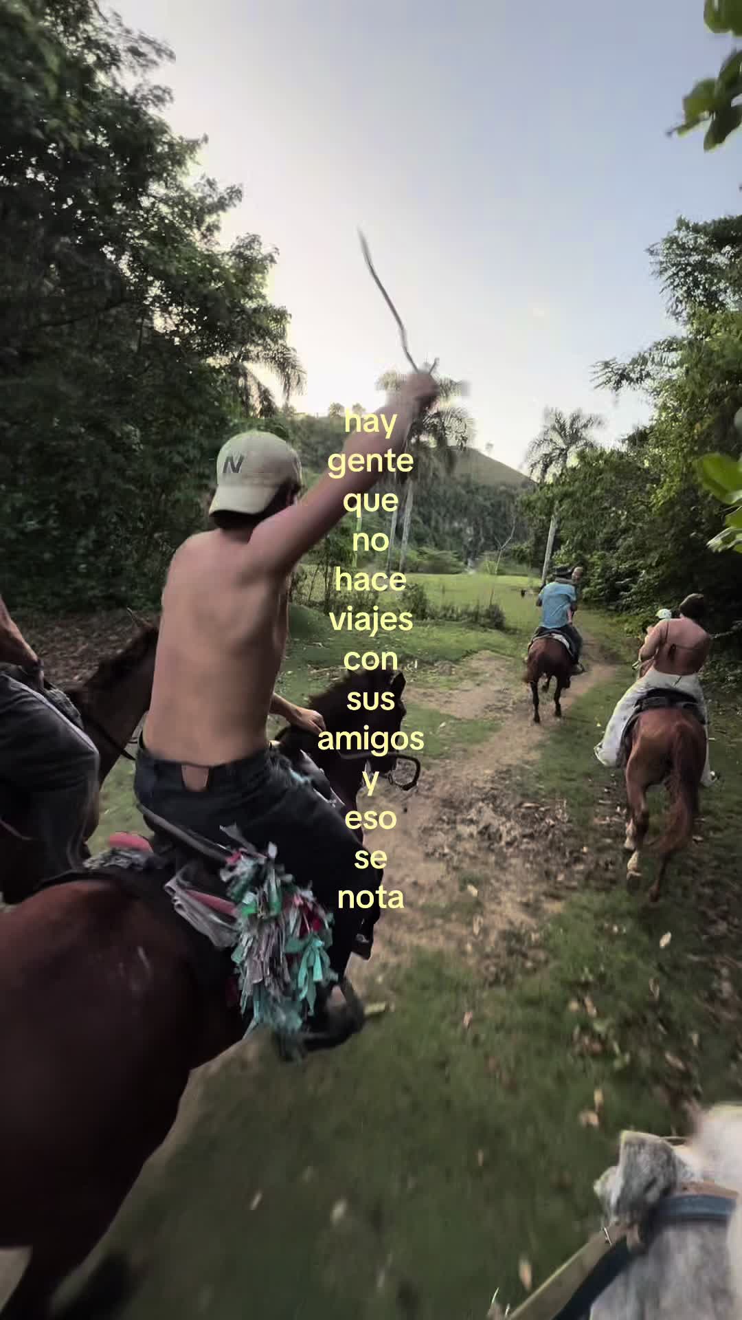 @David Aliagas