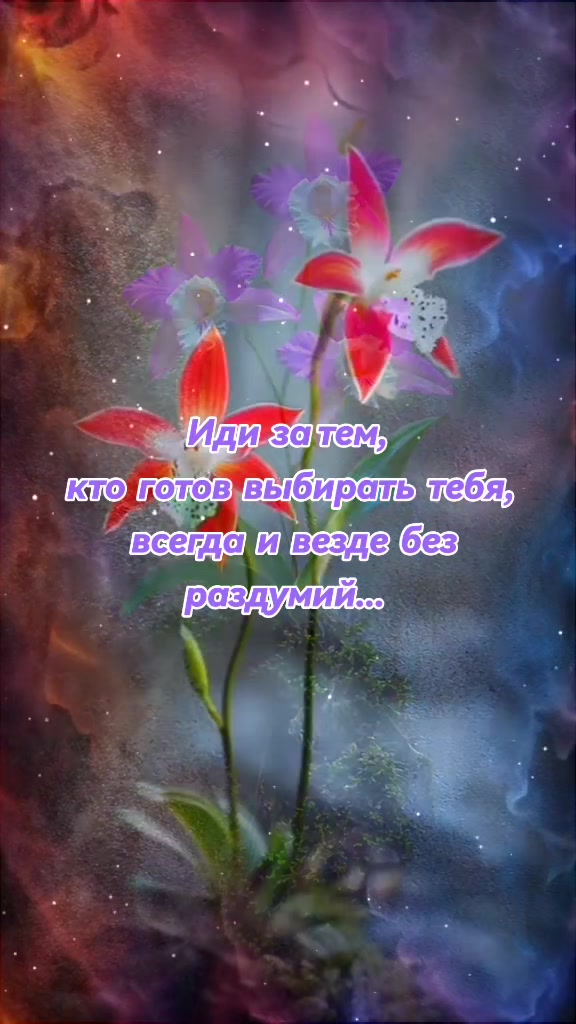 @🍀"Nata"🍀