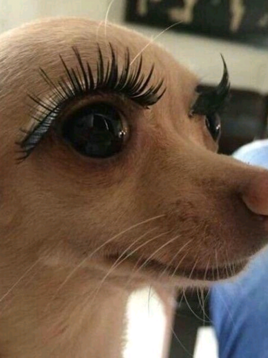 @La Foodie Judy 🤓🇸🇻🙏