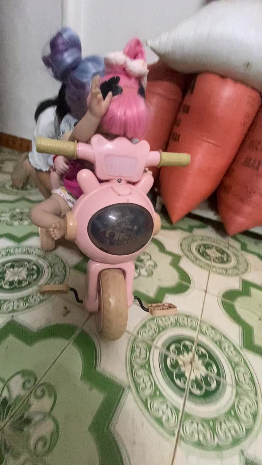 @GĐ: hoa quả