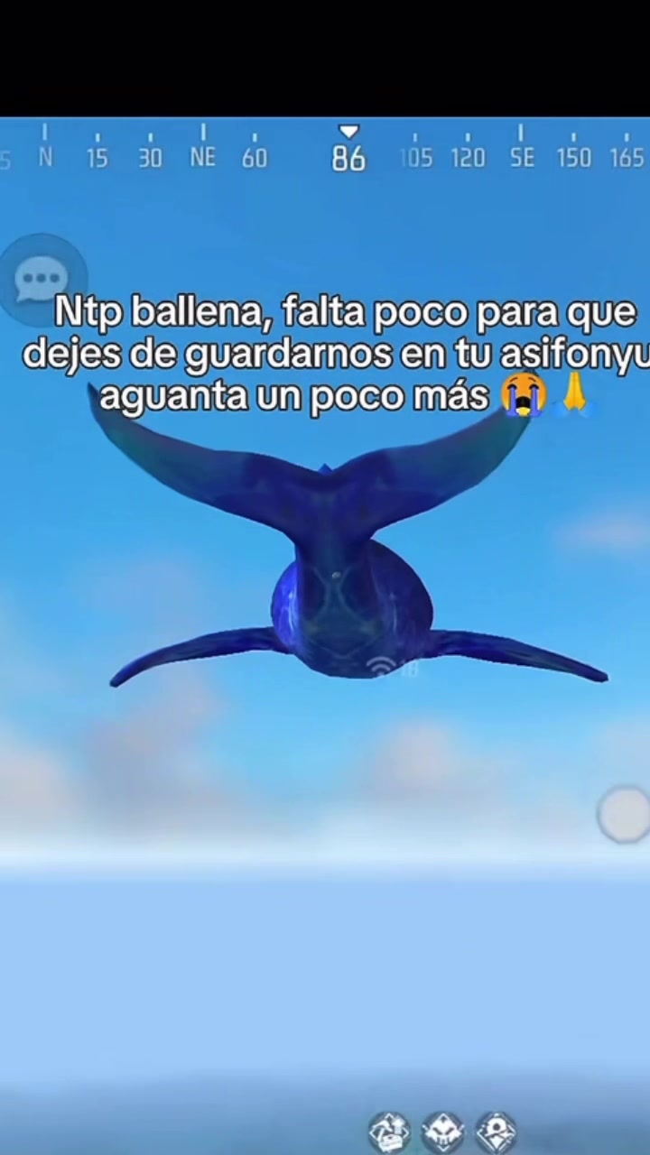 @Steffrobin