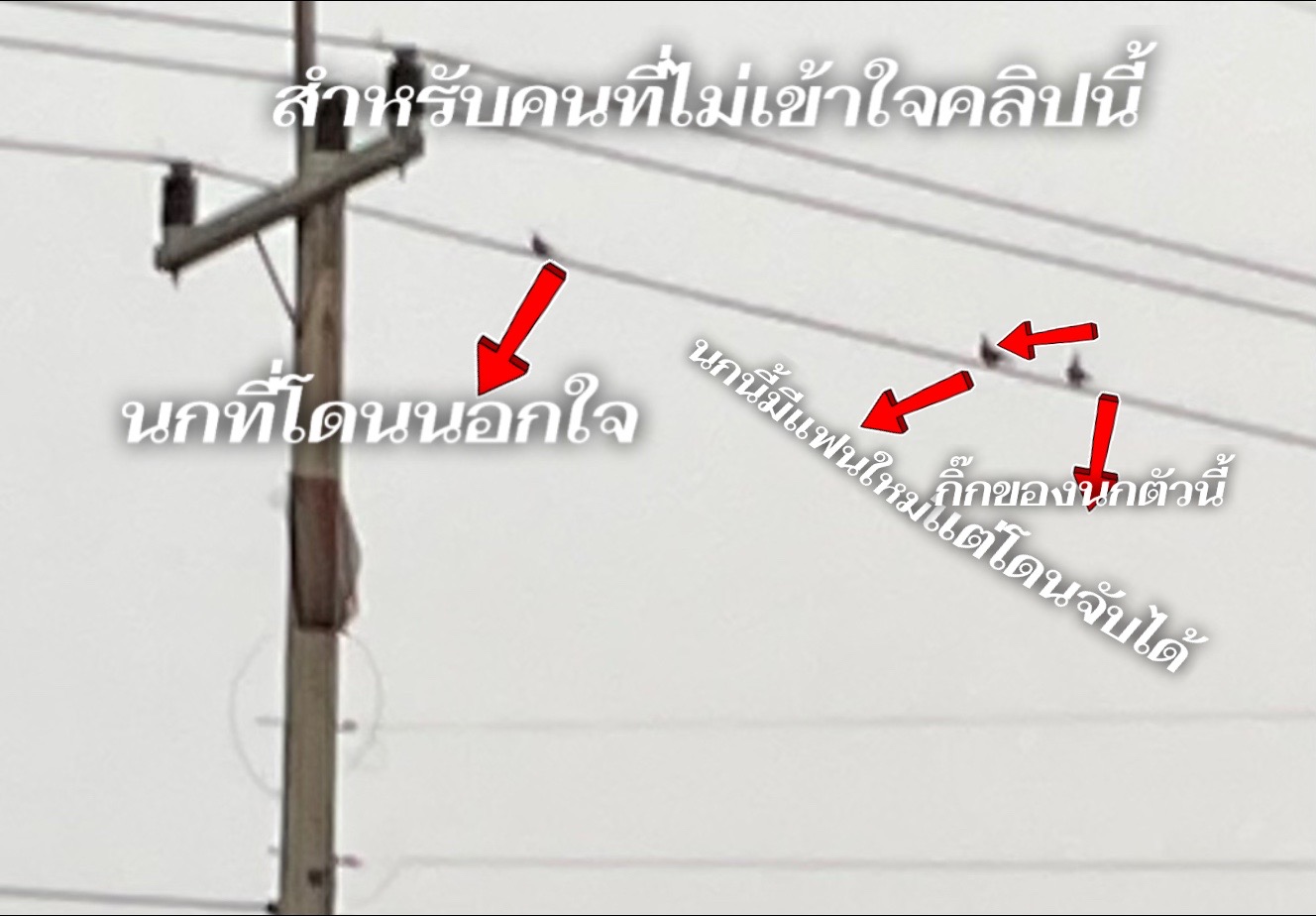 @ฟิวส์เว้ย🔥🔥🔥🔥🔥🔥🔥