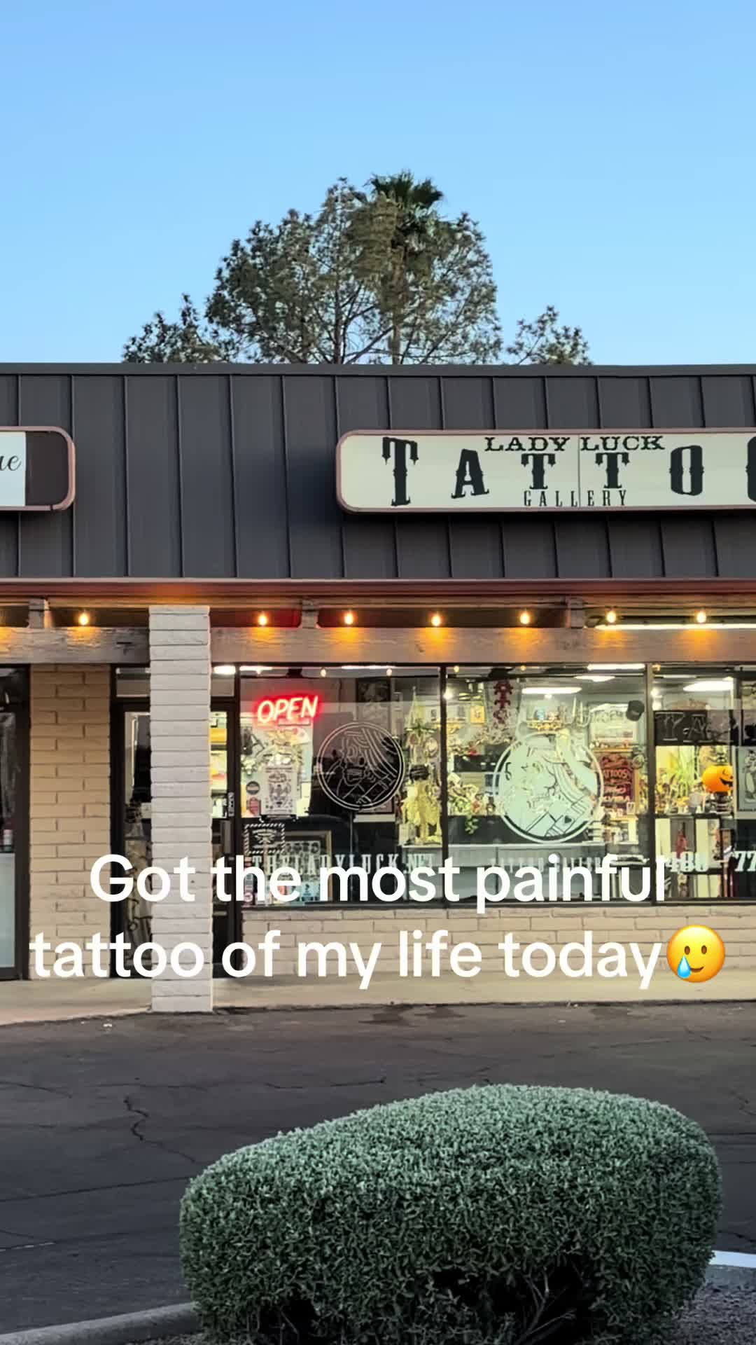 @sydsaintK