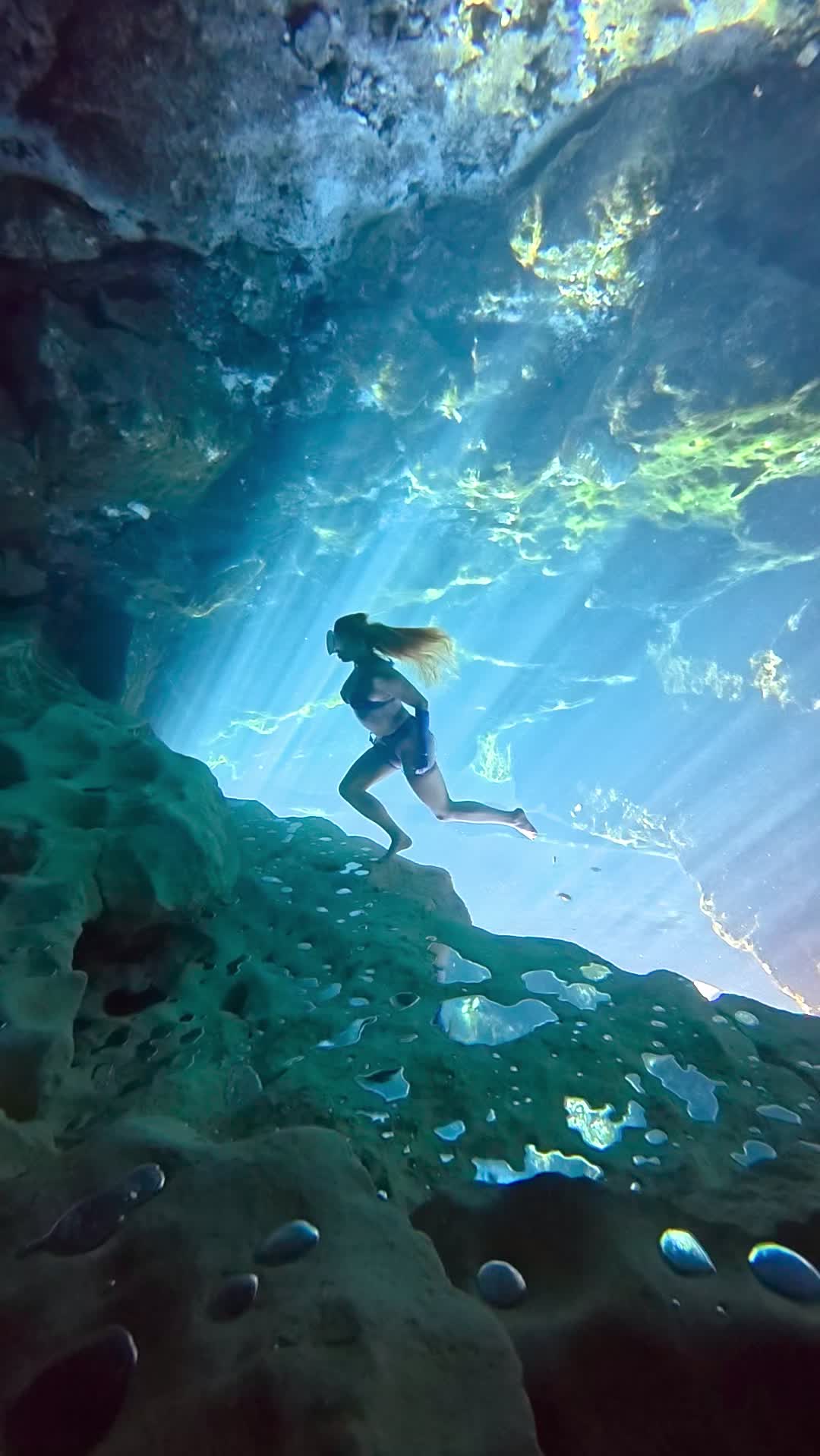 @Coralia Dives 🧜&zwj;♀️