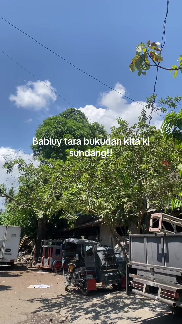 @Mr.Jieee🦖