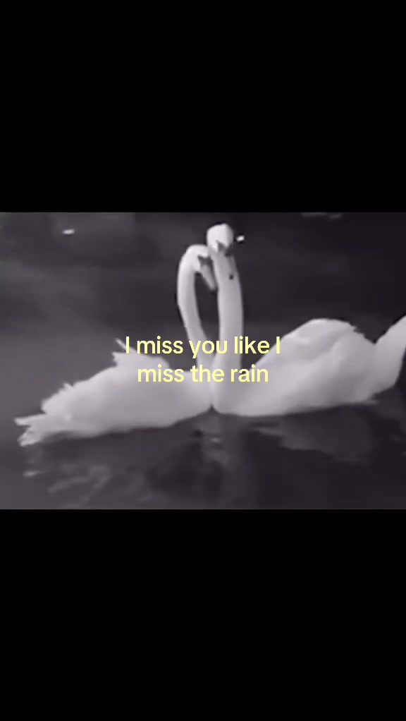 @windedbylove