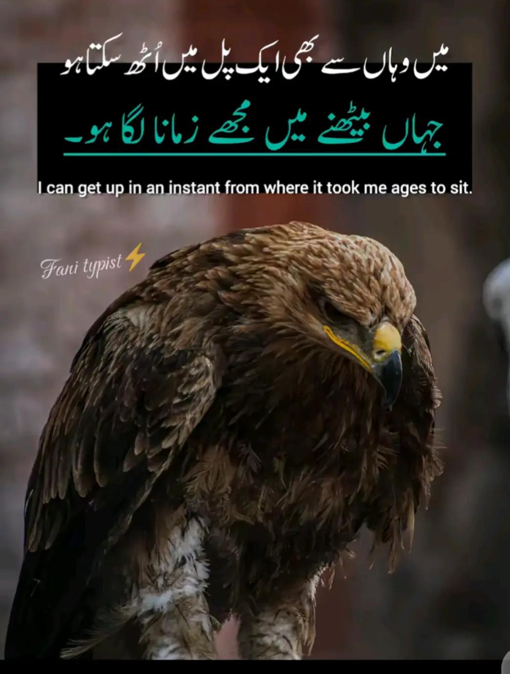 @Syed Fazal hashmi 🇵🇰 🇶🇦