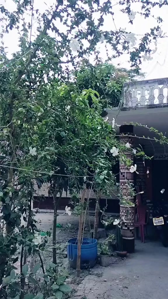 @❤️❤️ফারজানা ইতি❤️❤️
