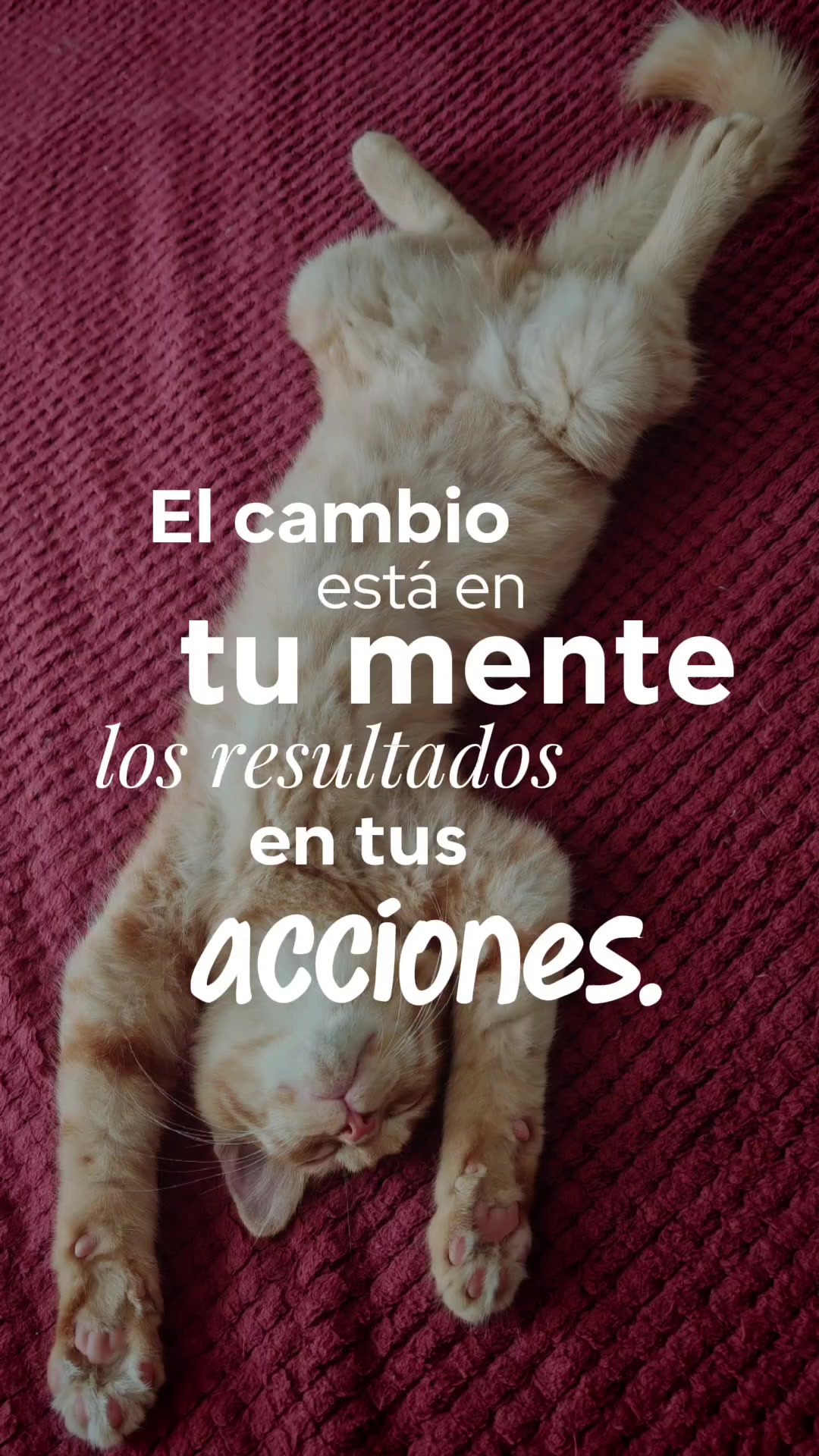 @LeztI 😻😺😽💕