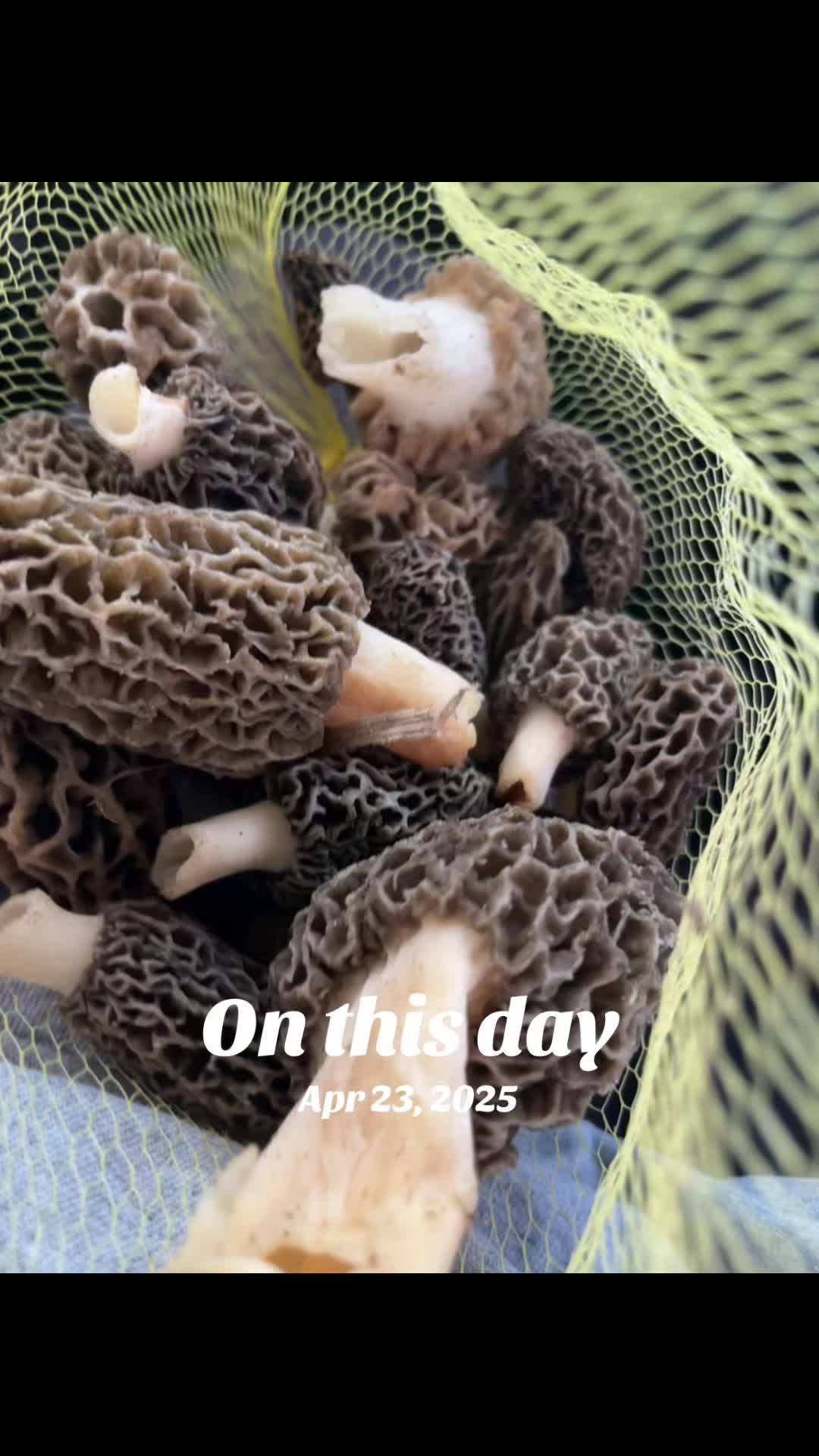 @knifeymcgee