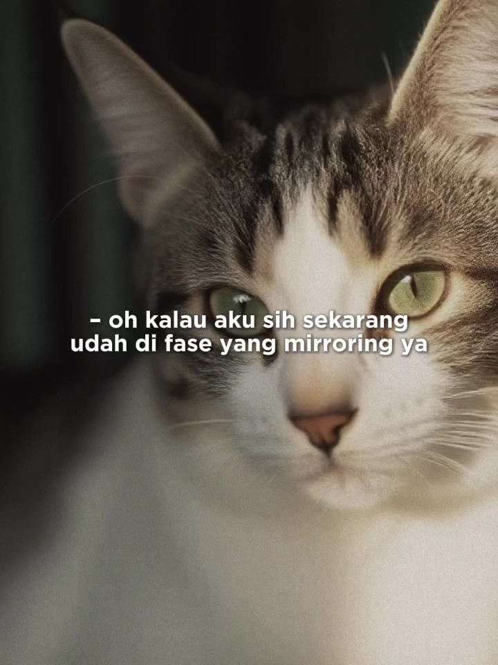 @Susi Uchy