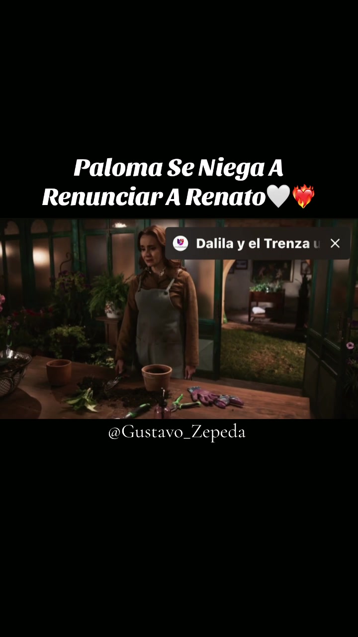@Gustavo Zepeda