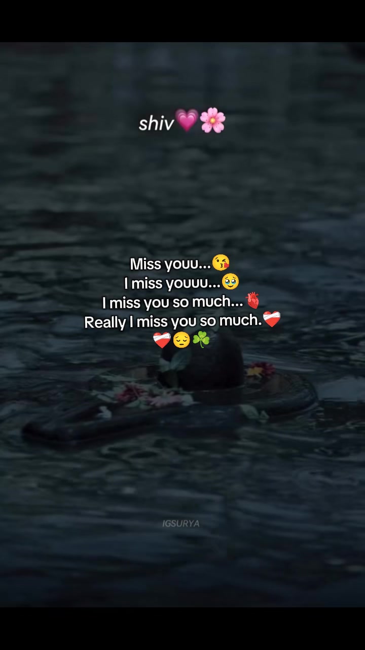 @ミ🌷 𝐒𝐢𝐦𝐩𝐥𝐞 𝐁𝐨𝐲 🌷彡