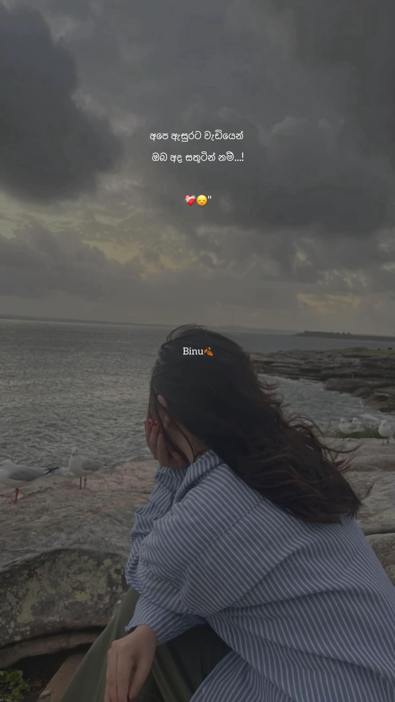 @B I N U🍂