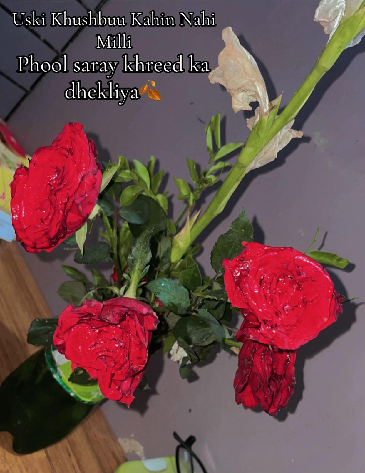 @عامو کی امانت💍🫂🧿🌏🫀