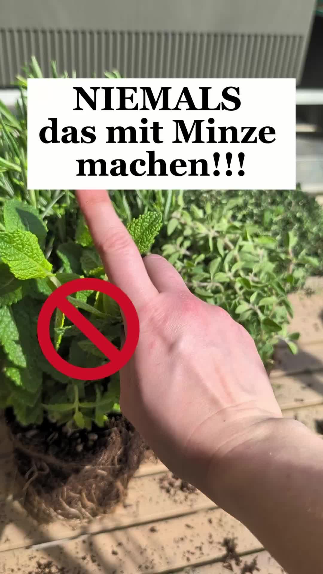@ErnteExperte