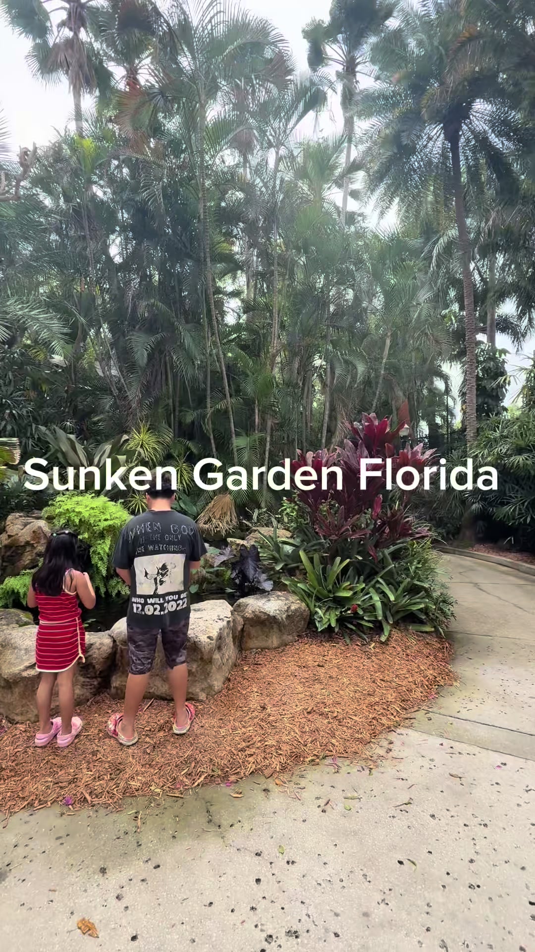 @juliephan_tampa.realtor