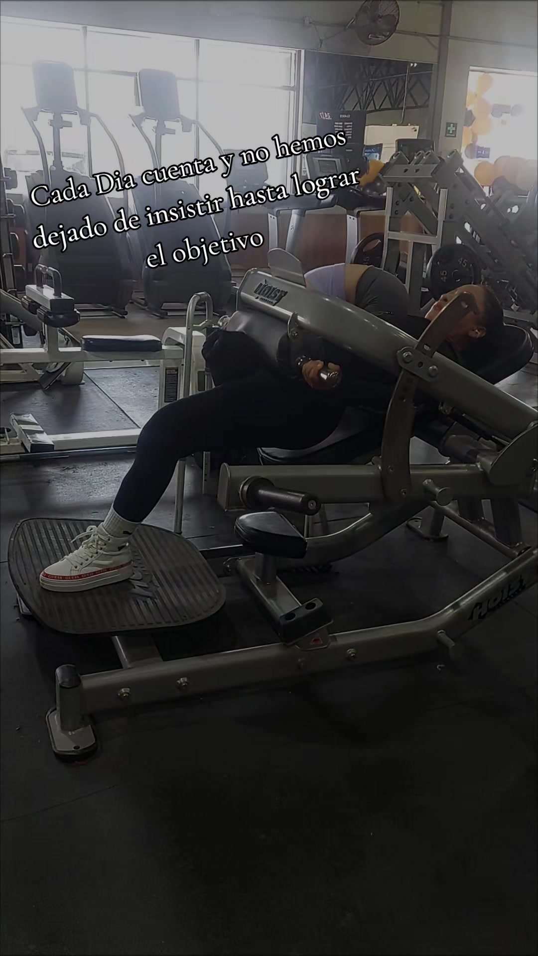 @LORY🏳️&zwj;🌈gym💪rat♿️