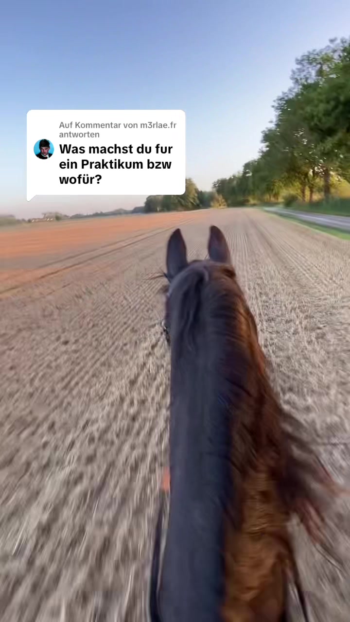 @Sophia🇩🇪
