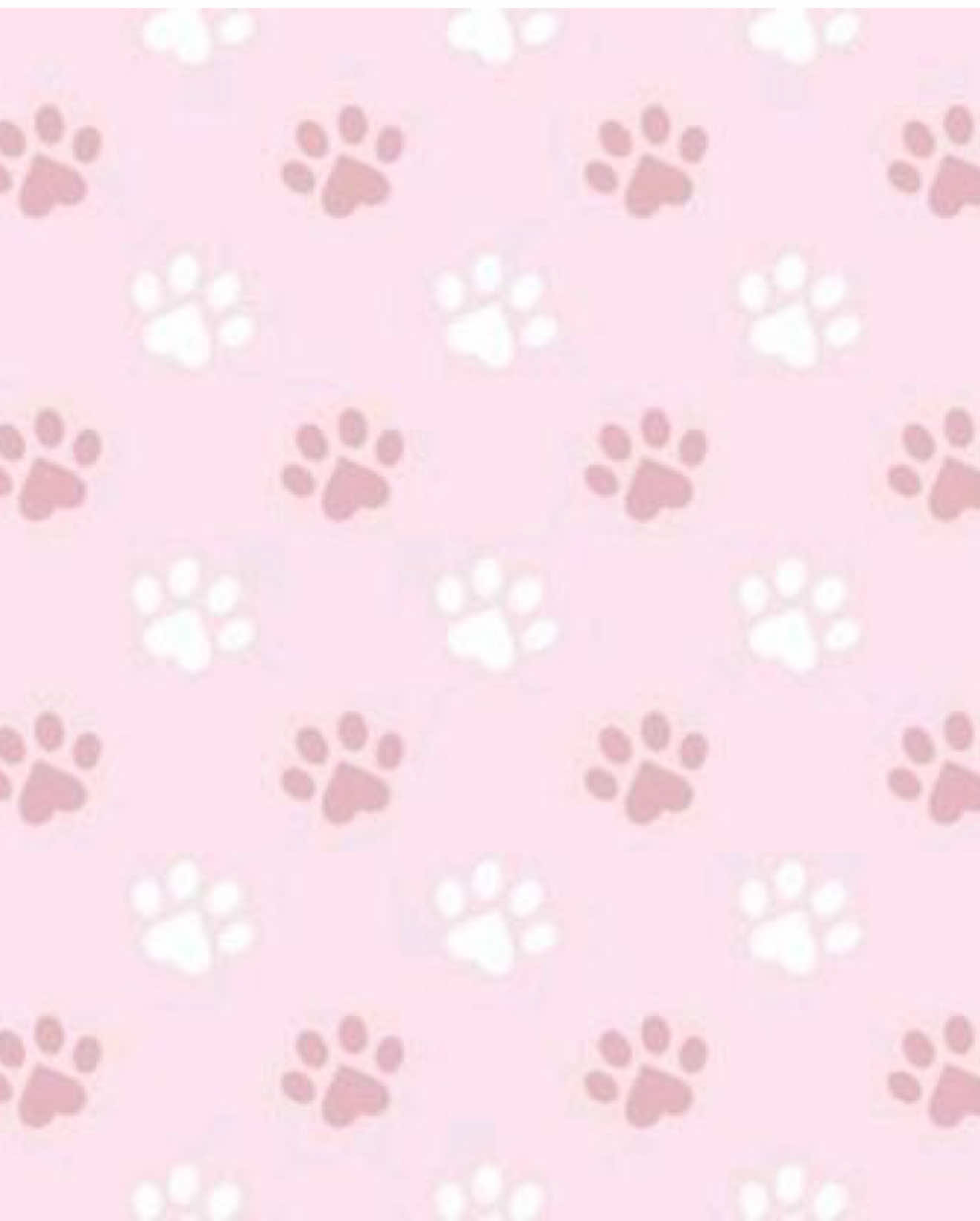 @૮₍ &acute; ꒳ `₎ა