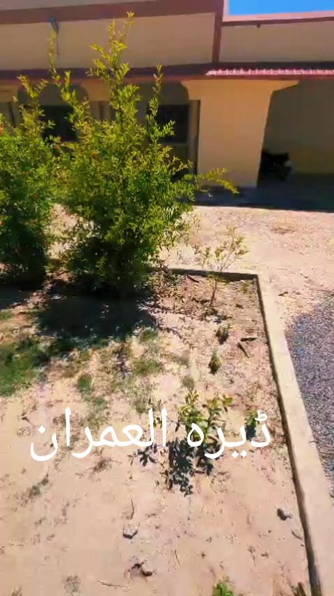 @Sardar__Umair__Khan__333
