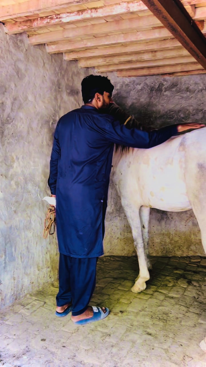 @Badar Wattoo