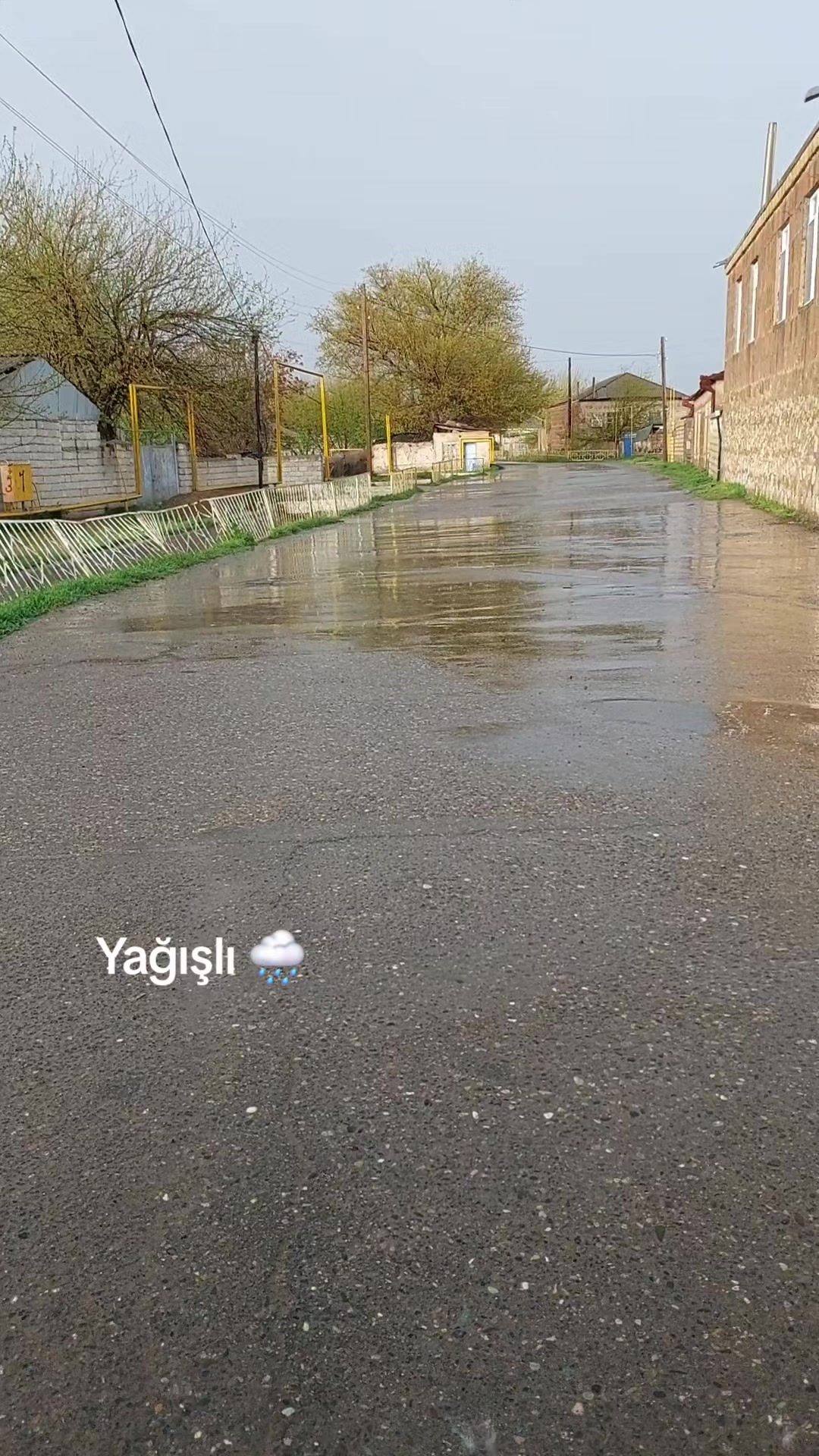 @Sederek Rayonu