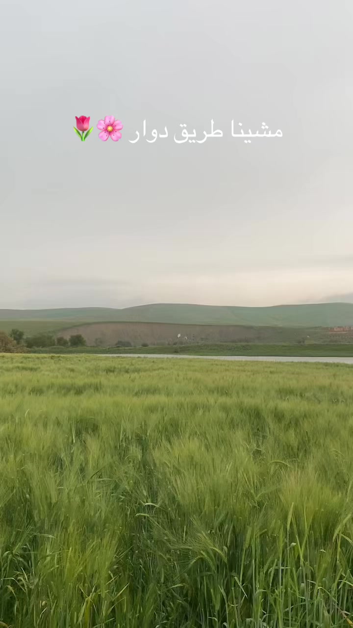 @🔒 🐆