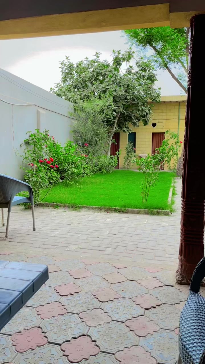 @shoaib shaikh528