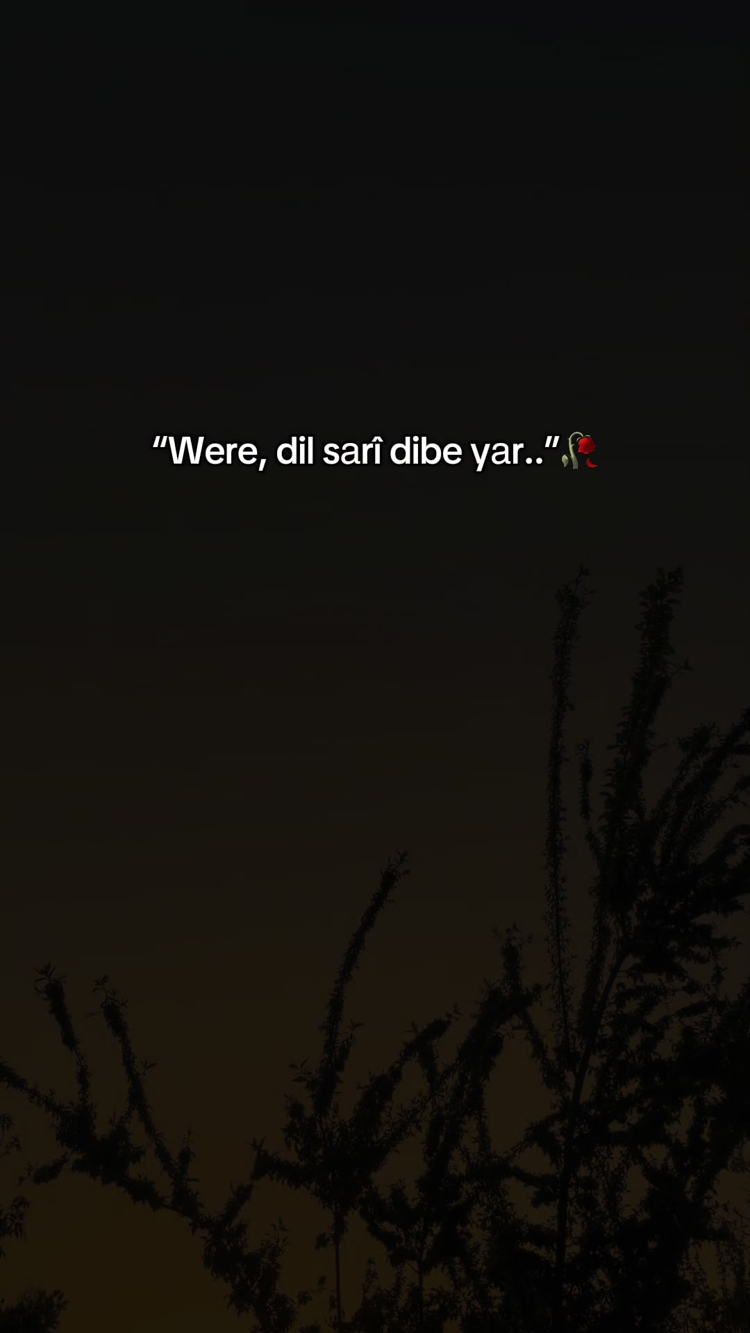 @meralsimsekk1