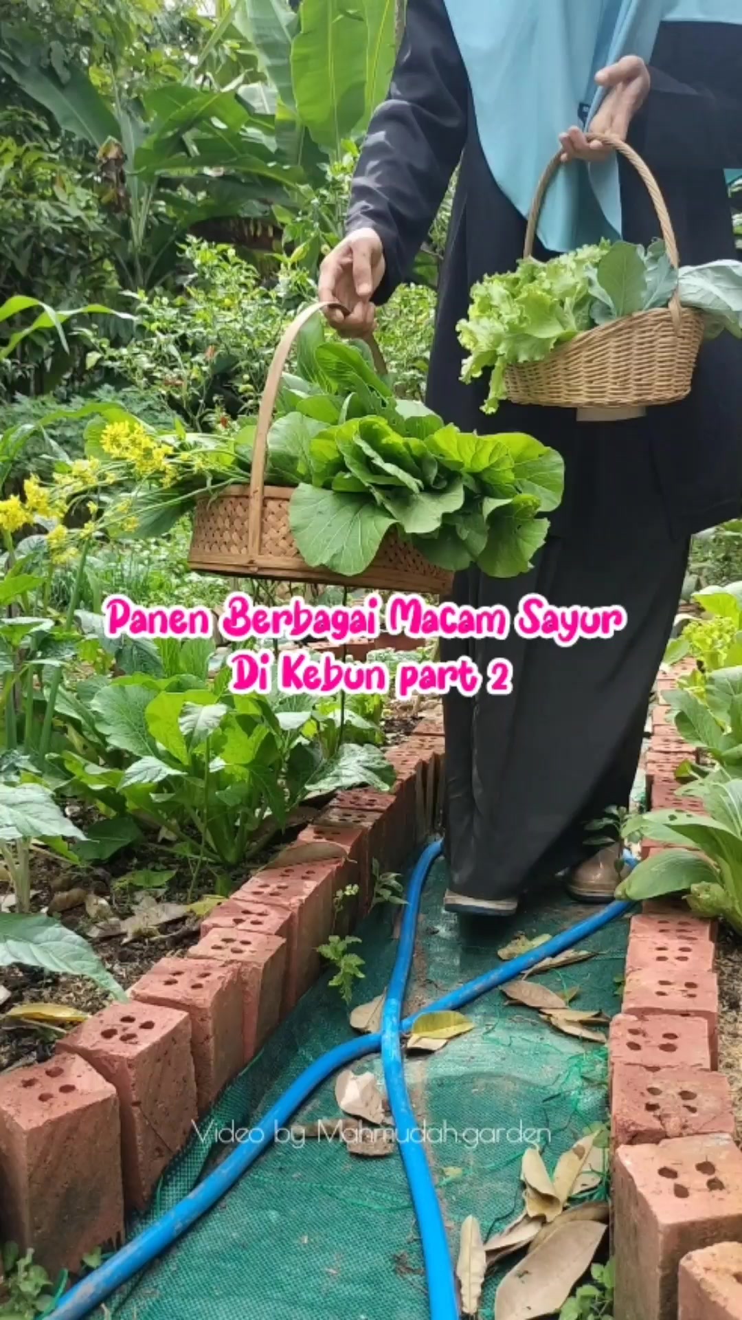 @mahmudah.garden