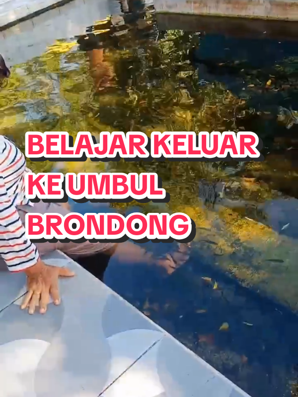 @Bunda Refi