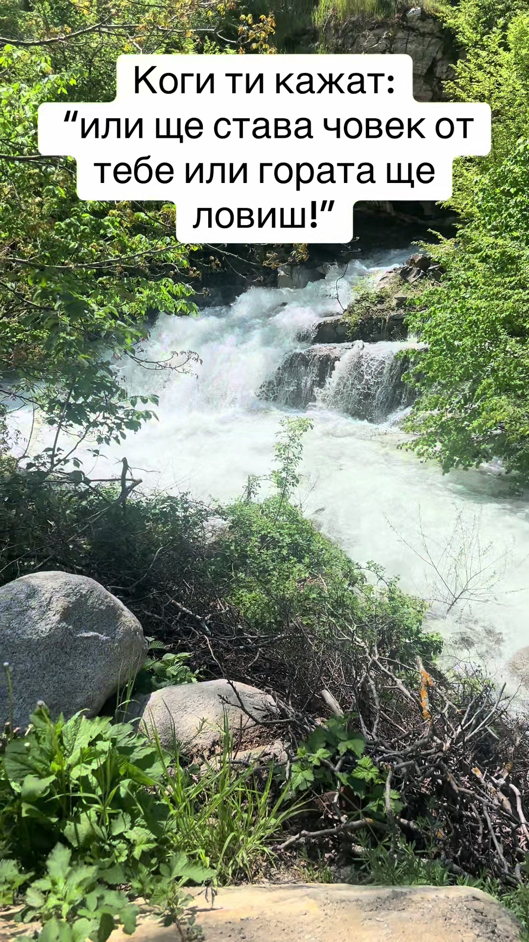 @Tseno Nechev