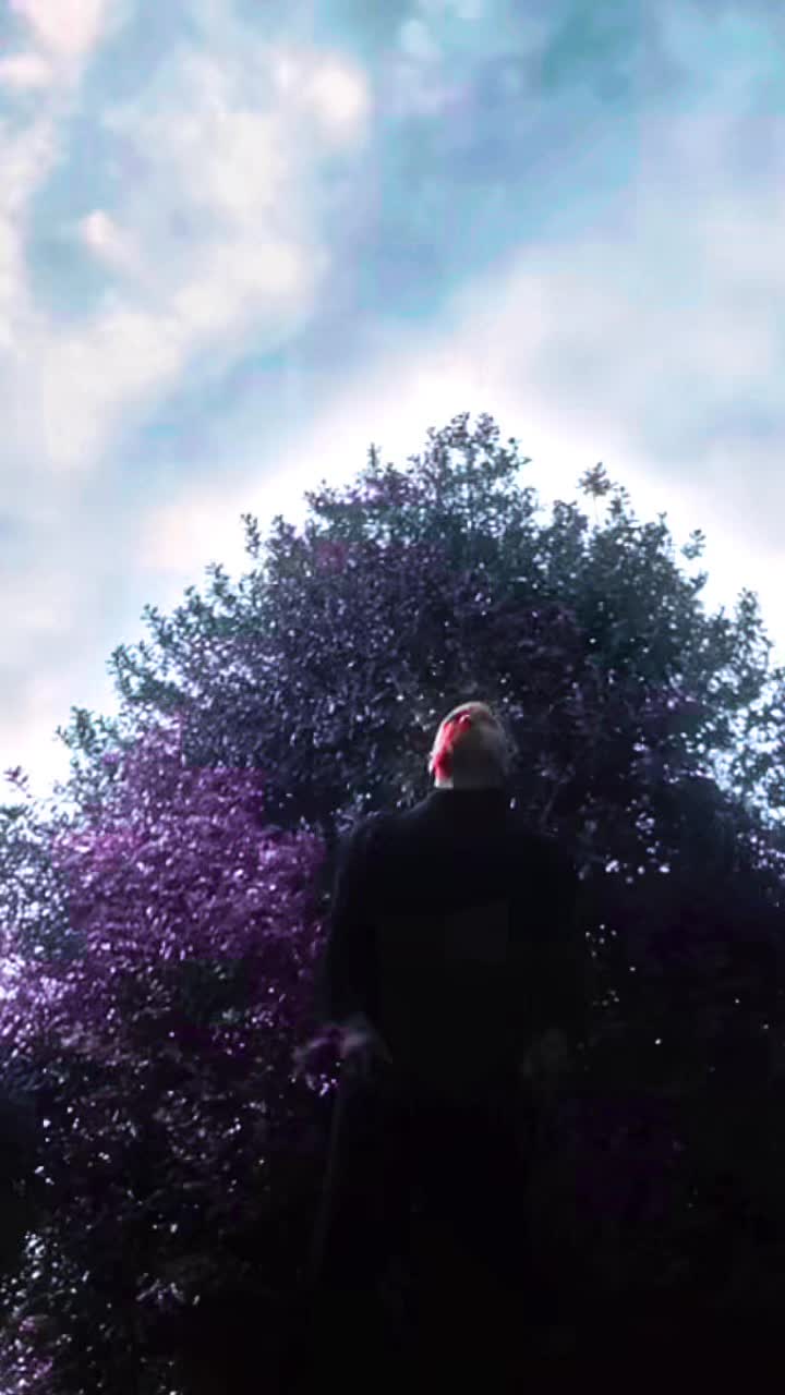 @sabershawn302