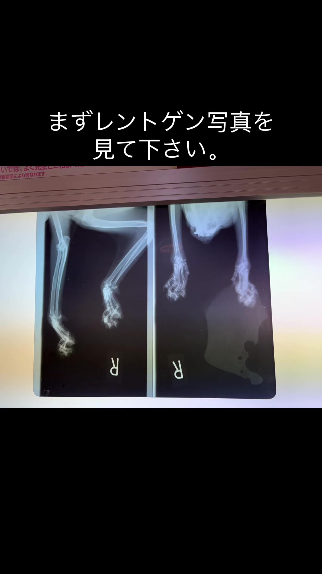 @ブルースカイの倫