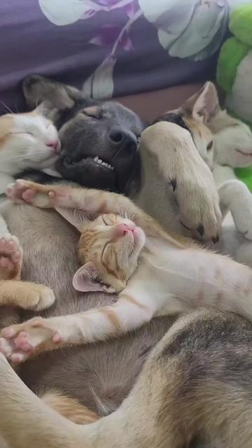 @@ไข่ตุ๋น