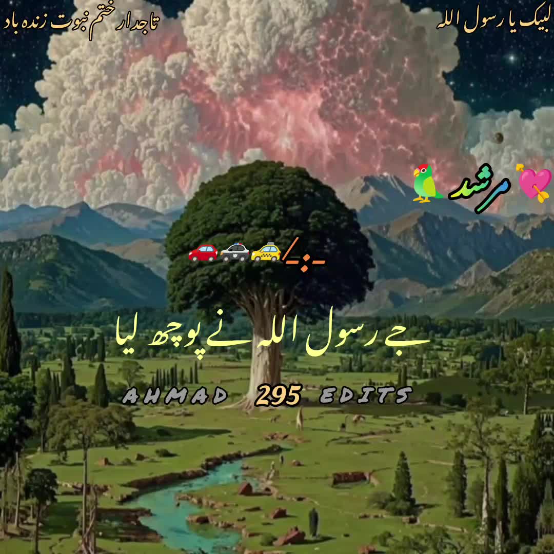 @خادم کا دیوانہ 295