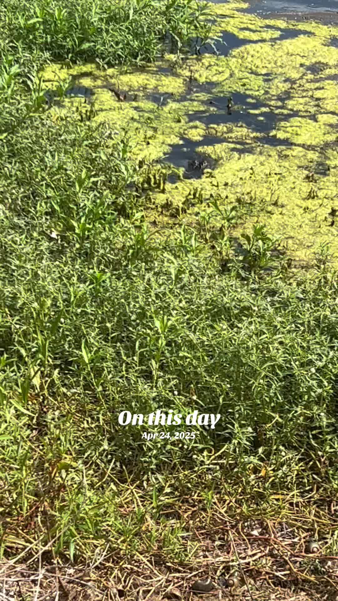 @💎♾️NiquebooT⚔️K