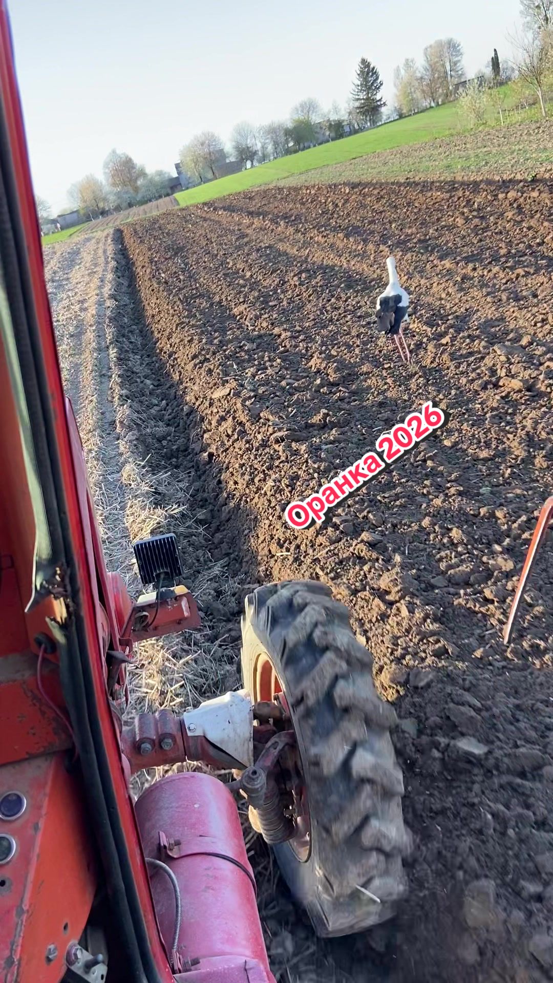@🌾Богдан🌾
