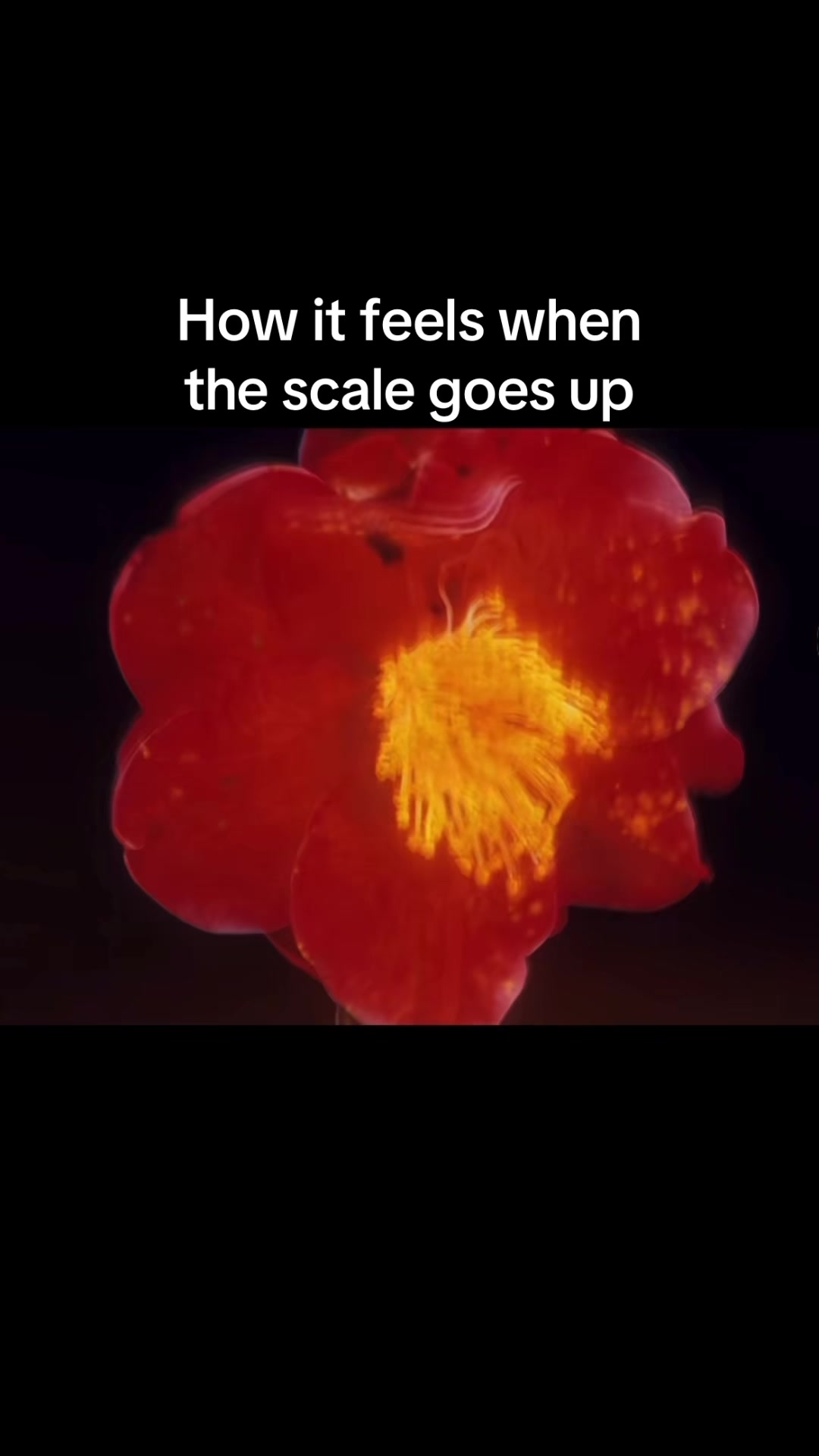 @._.