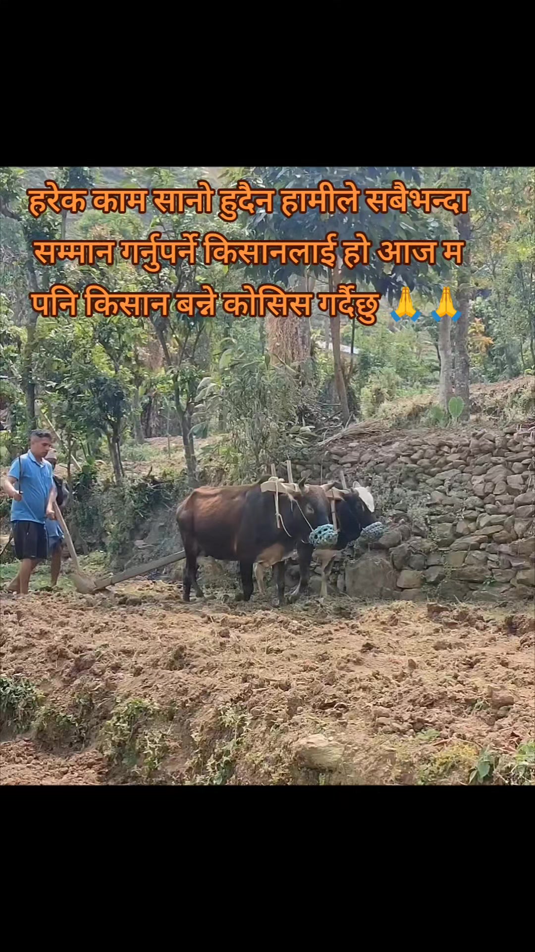 @कृष्ण बुढाथोकी