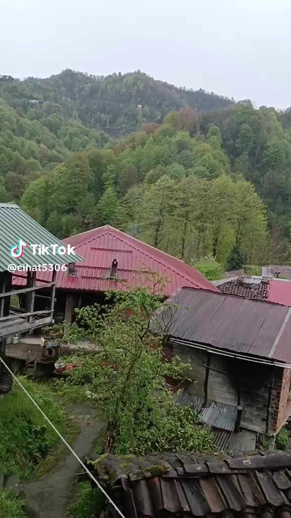 @M.Bayrak4161bayrak.5461.1