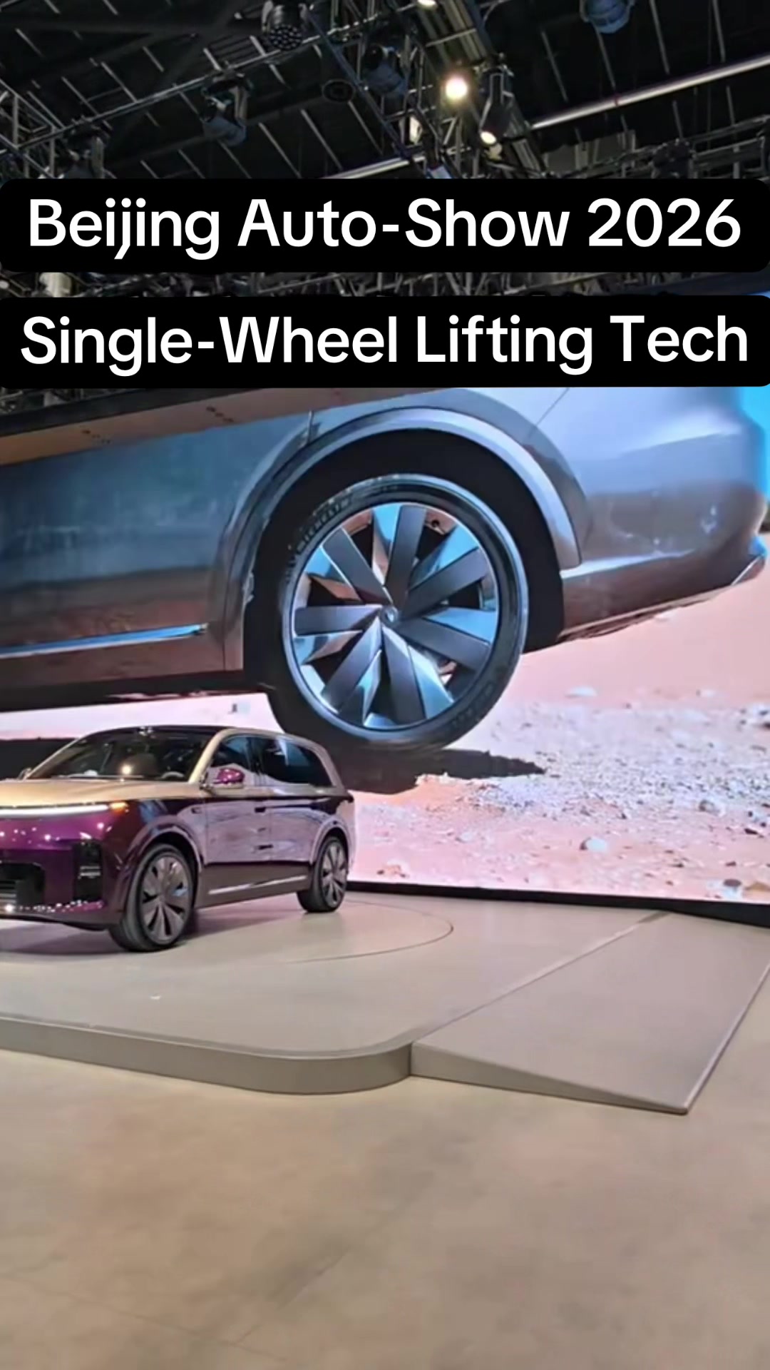 @China EV Reality