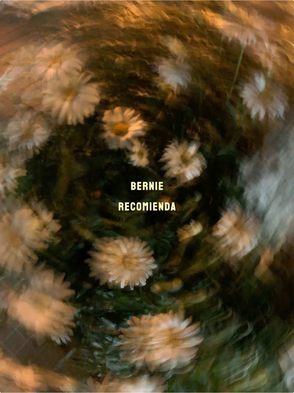 @berniethebernal