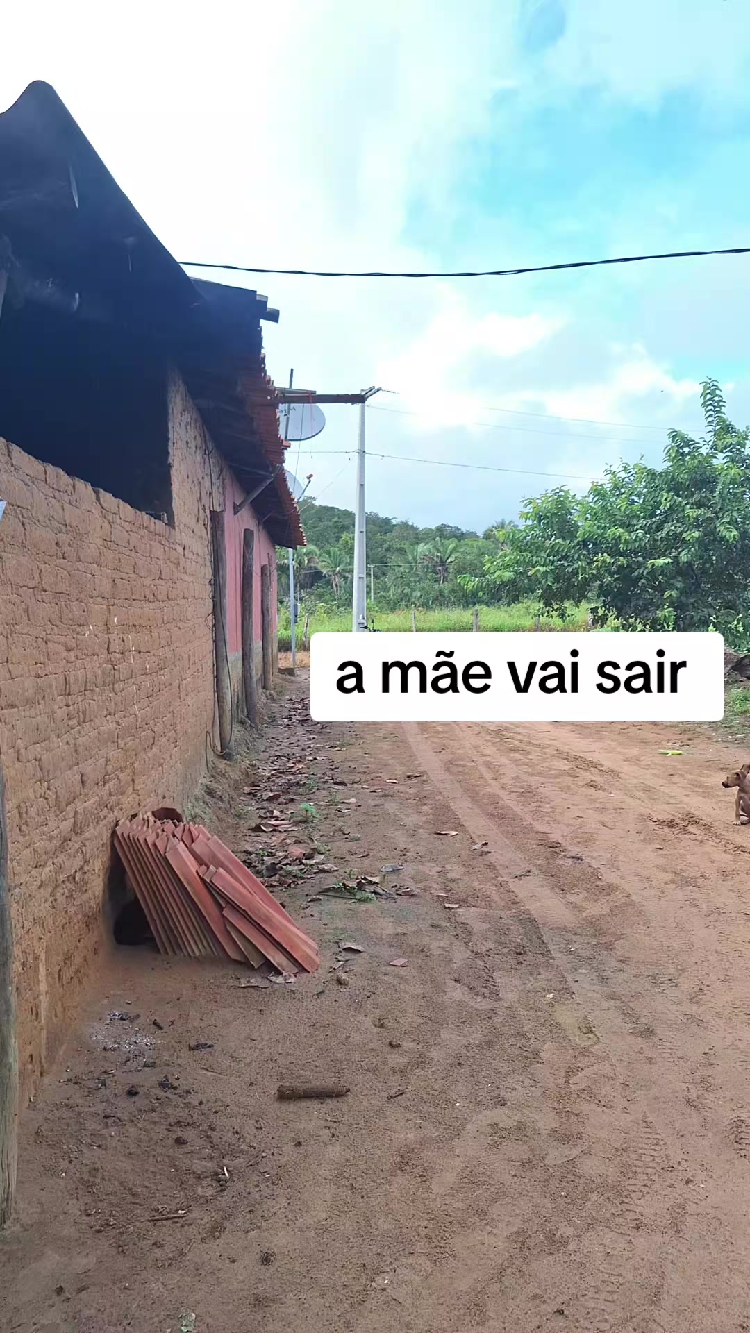 @geane Alves
