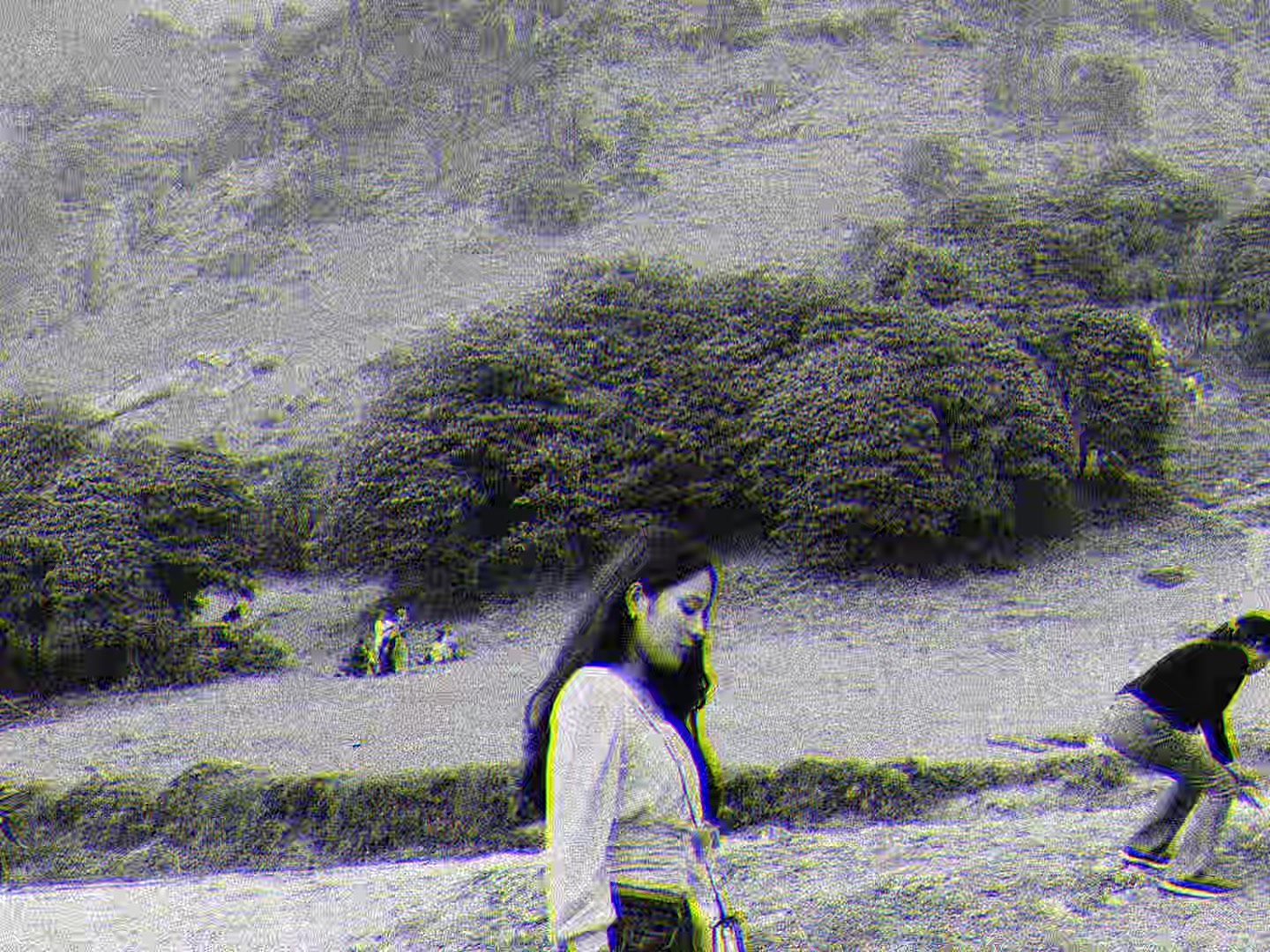 @Yammu