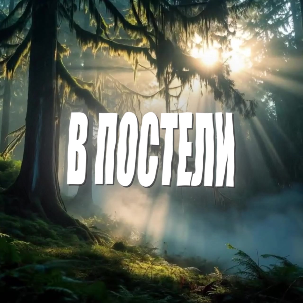 @динзик🤍| ディン